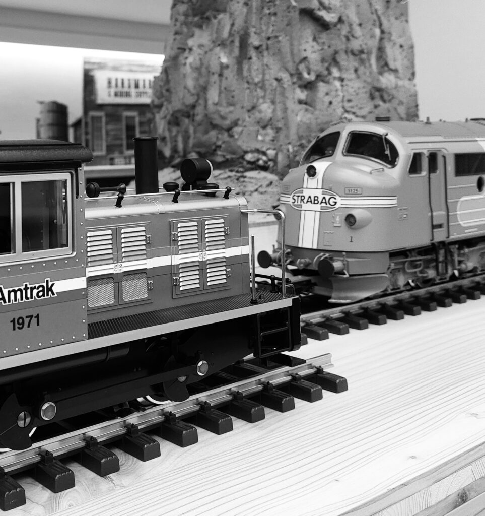 BEARprogetti progetto treno Alta Valtellina