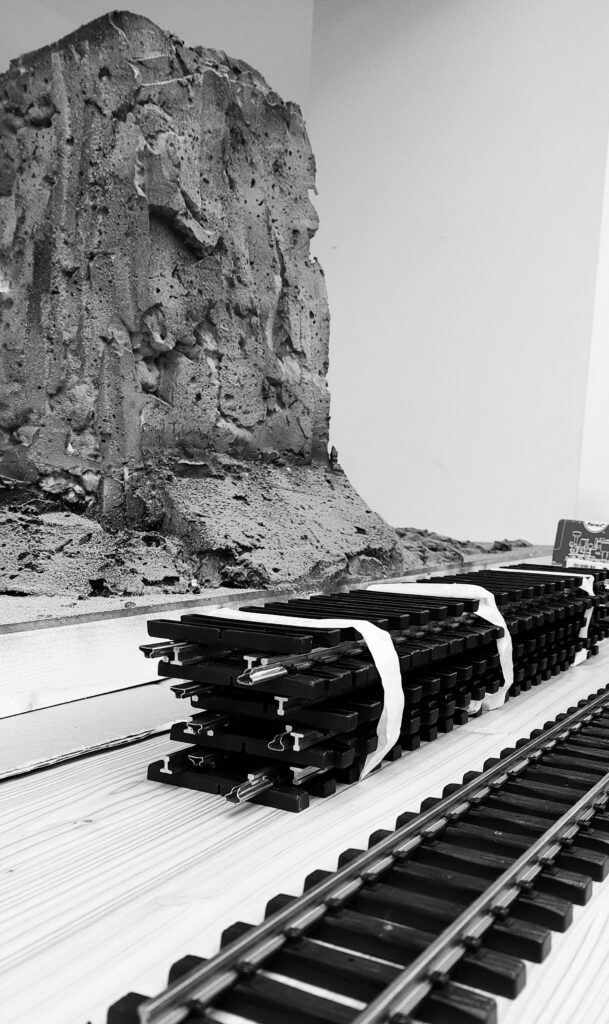 BEARprogetti progetto treno Alta Valtellina