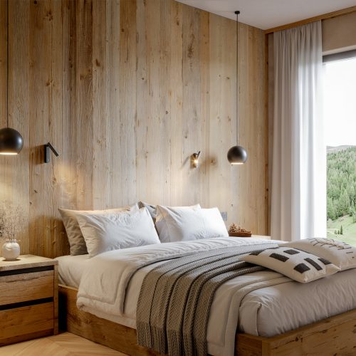 BEARprogetti_render_Livigno_camera